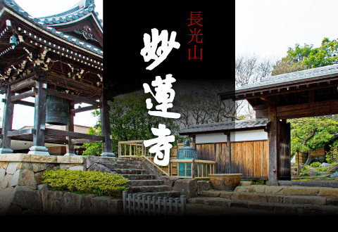 長光山妙蓮寺