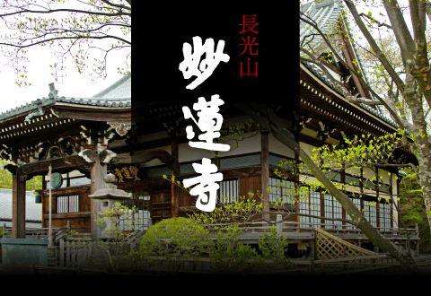 長光山妙蓮寺